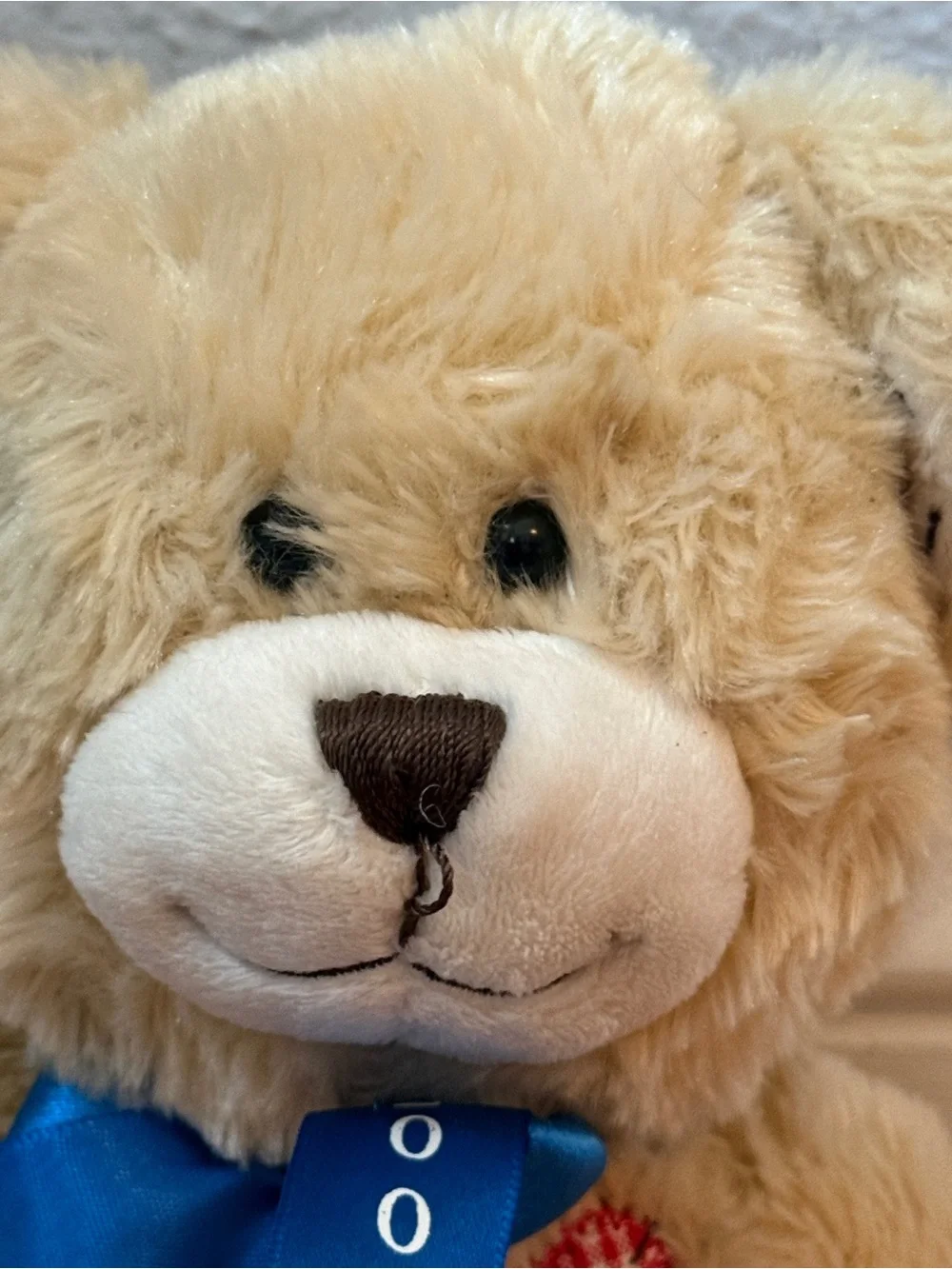 Build-A-Bear Employee Champ Bear from 2009